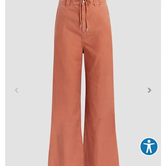 Hudson Size 34 Drawstring Bronze Pants NWT - Picture 6 of 9